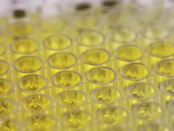 Scientist and bio lab experiment Stock Footage