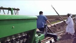 CLEAN : Rice plants seed of hope in Sudans News Clip