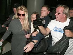 WireImage Daily: 11/3/09 Stock Footage