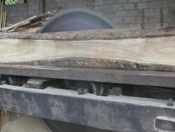 Saw mill Stock Footage