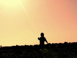 Baby Walk Silhouette  (HD) Stock Footage