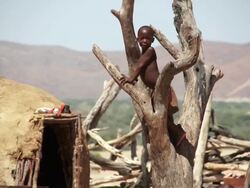 MS TU Young himba boy climbing up on dead tree in front clay hut / Himba, Kunene, Namibia Stock Footage
