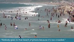 Hammer (subtitles) Instructional Video