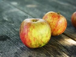 Apples Stock Footage