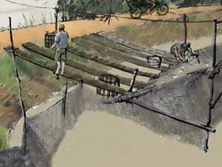 Fish Mislabeling Animated Graphic video Stock Footage