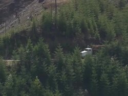 WS AERIAL TS View of wood lorry driving in forest / Oregon, United States Stock Footage