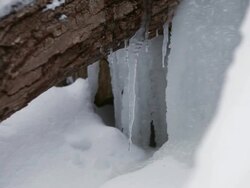 CU PAN Icecles  slowly melting from log / Dundas, Ontario, Canada   Stock Footage