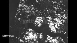 King George VI reviews the home guard in England News Clip