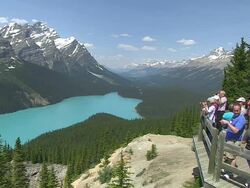 WS Tourist enjoying and taking picture at Peyto Lake / Banff Nationalpark, Alberta, Canada Stock Footage