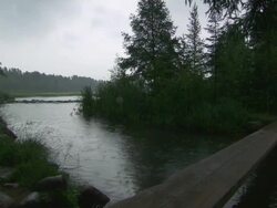 MS Shot of Mississippi river / Lake Itasca, Minnesota, United States  Stock Footage