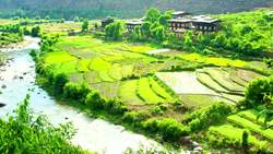 Bhutan Instructional Video