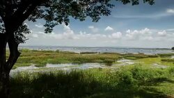 Clouds floating above a lake. Time lapse Stock Footage