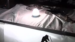 CLEAN : Corsican separatists to end military operations News Clip