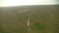 Waterways snake across wetlands in Louisiana. Stock Footage