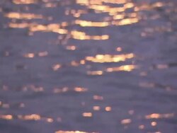 Sunlight reflects off waves rolling across a river. Stock Footage