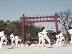 WS PAN TD Korean Martial arts group performing taekwondo  / Kyungkido, Bucheon, South Korea Stock Footage