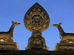 MS ZI Shot of wheel of Dharmon roof of Buddhist temple / Lhasa, Tibet, China Stock Footage