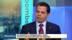 Scaramucci Says 'Don’t Underestimate Steve Bannon' News Clip