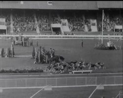 INTERNATIONAL HORSE SHOW News Clip