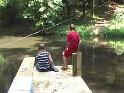 the pond Stock Footage