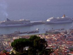 Botanical Gardens Stock Footage
