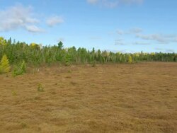 WS ARIEAL View of Wooded area / Maine, United States Stock Footage