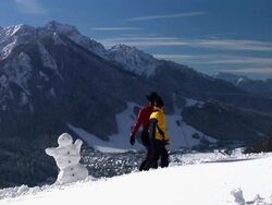 HD: A Walk In The Snow Stock Footage