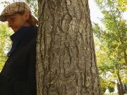 Man texting on smart phone in park Stock Footage