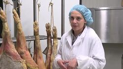 CLEAN : Quake hit pig farmers struggle to survive News Clip