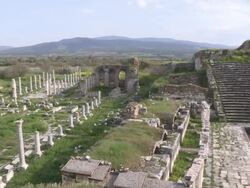 Theatre, Aphrodisias, Turkey Stock Footage