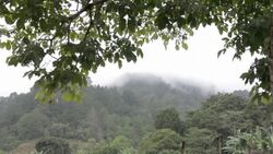 Foggy Hills Stock Footage