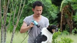 Man and dog do outdoor activities Stock Footage