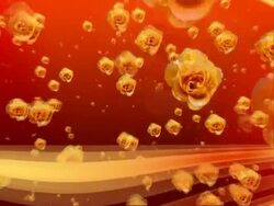 Weding background loop Stock Footage