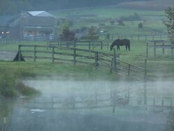 Horse Farm. Landscape Reflections. Stock Footage