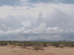 View across sonoran desert, scrub in foreground, mountains in distance. Arizona Desert, USA Stock Footage
