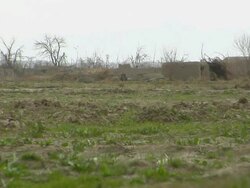 WS  Grassy landscape / Musa Qala, Helmand Province, Afghanistan. Stock Footage