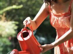woman watering her plants Stock Footage