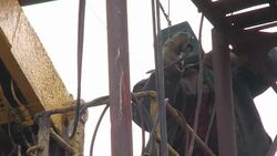 CLEAN : Upsurge in violence in Ukraines seperatist east News Clip