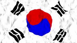 South Korea Flag Stock Footage