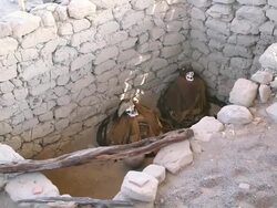 WS HA Shot of Chauchilla cemetery, skulls / South Of Peru, Nazca, Peru Stock Footage