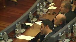 CLEAN : Kosovo government falls, snap election to follow (2) News Clip