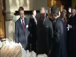 Prince Charles at British Wool reception News Clip