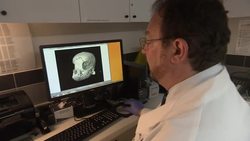 Animal CSI: Forensic Vets Battle Pet Abuse News Clip