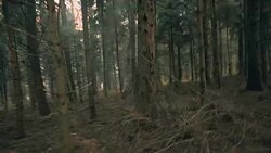 POV Spooky young woman hiding behind a tree Stock Footage