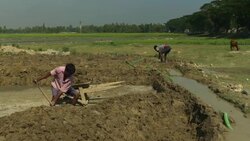 Men in Bangladesh dig soil and clay mixed with water which is churned by machine in preparation of brick making  Stock Footage
