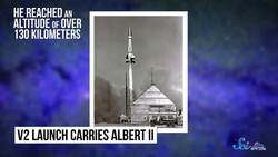 Why We Send Animals to Space Instructional Video