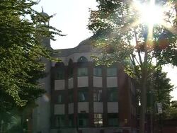 VOICED: Young British Muslims drink on the sly News Clip