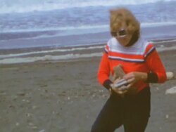 Collecting Driftwood On Beach Stock Footage