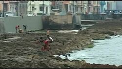 Reax as scientists predict dramatic rise of sea levels by 2100 Instructional Video