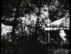 B/W 1960's burning building in trees / soldier running / Vietnam / SOUND Stock Footage